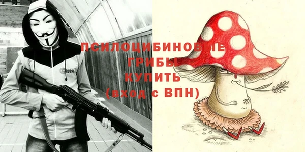 стаф Алексеевка