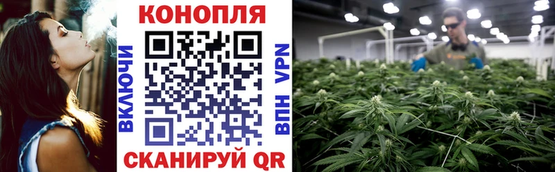 ОМГ ОМГ tor  Динская  Каннабис гибрид 